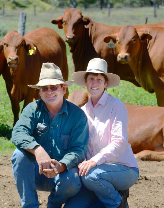 Roger and Jenny Underwood, Pine Hills, Wallumbilla with their No 6 replacement heifers which are currently being joined to Droughtmaster bulls. Picture Amanda Salisbury. 