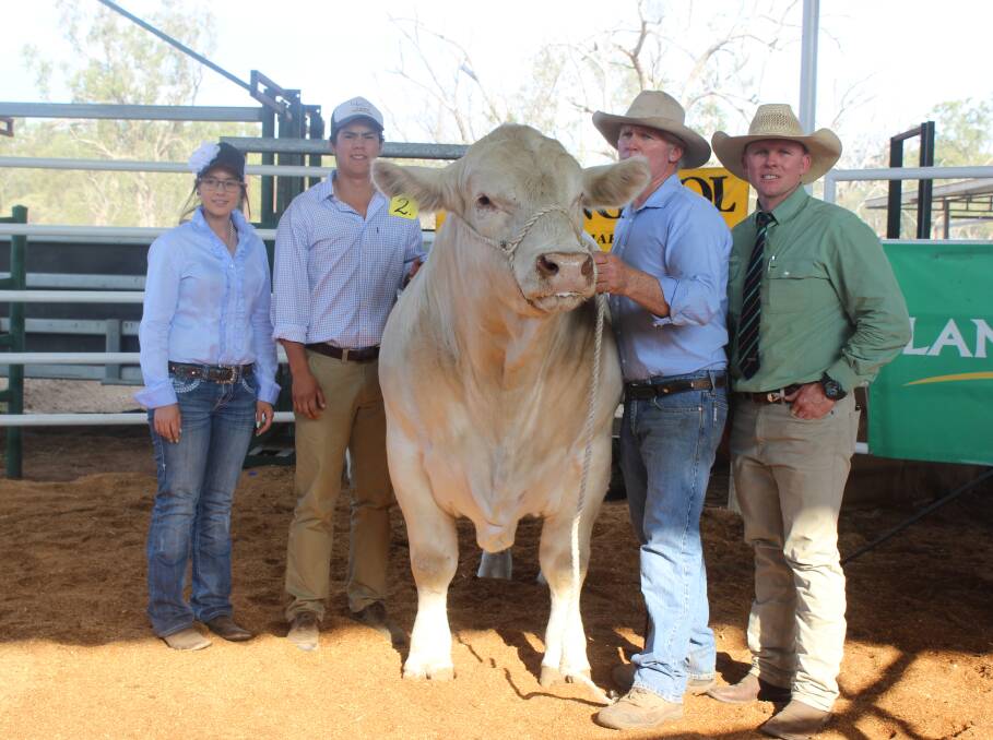 New Australia Charolais record price at $83,000: Amy and Blake Whitechurch with Moongool Lunar Rise bull, and Ivan Price and Colby Ede. Picture: Helen Walker.