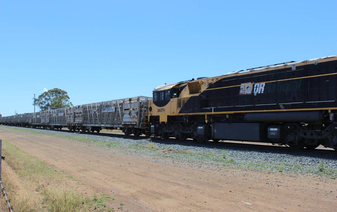The Aurizon cattle train approaching the Oakey Beef Export's rail sliding for the first time in 23 years. Picture: Helen Walker 