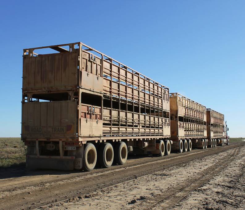 Heavy vehicle movement of livestock is set to double in the next decade.