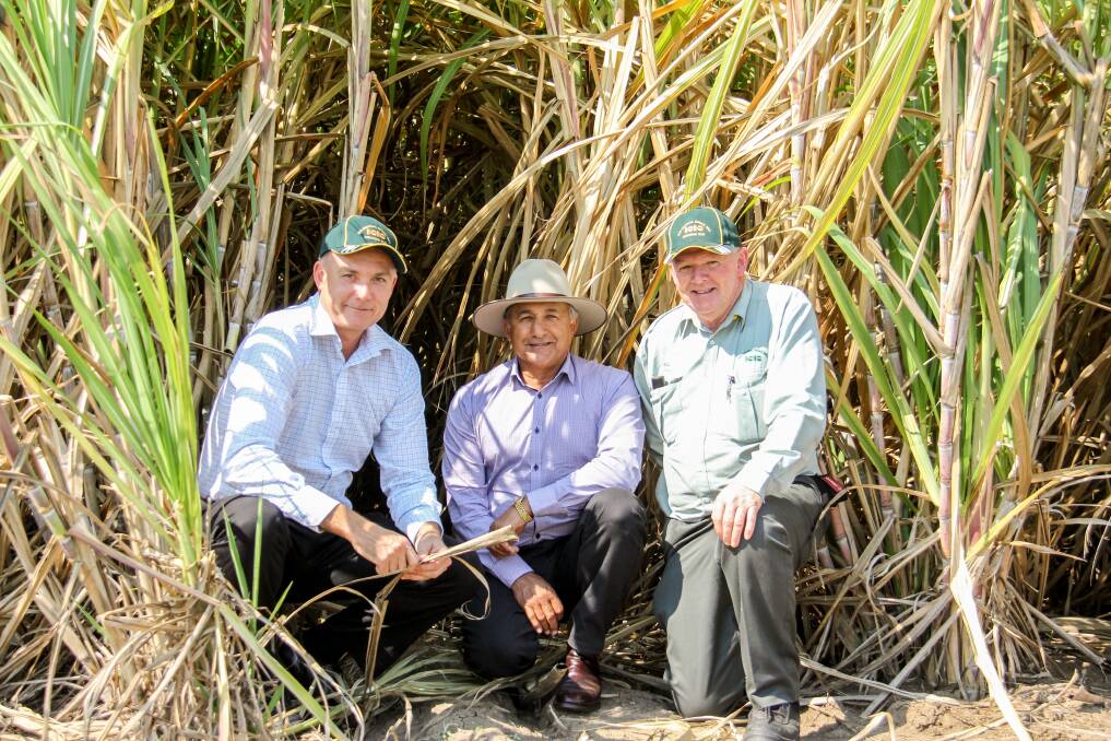 Isis Central Sugar Mill CEO John Gorringe, Chairman Peter Russo, and Chief Field Officer Paul Nicol at the trial plot named Claude Wharton Weir.