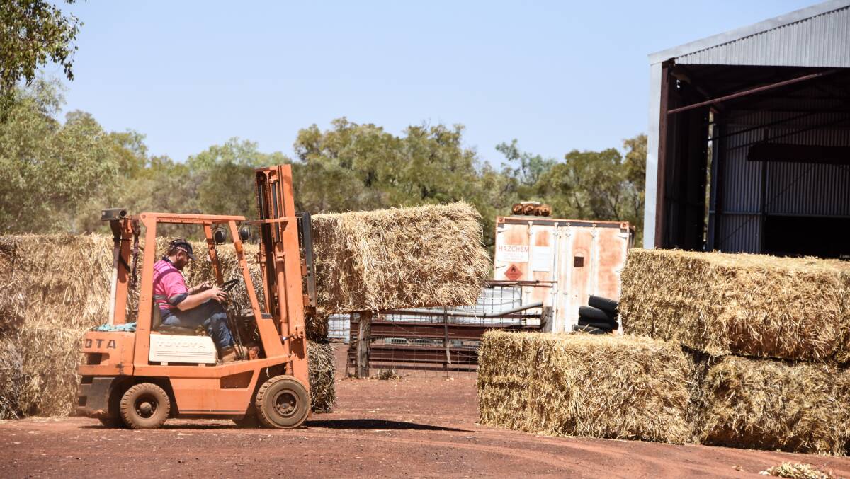 The hay being unloaded at Alroy. 