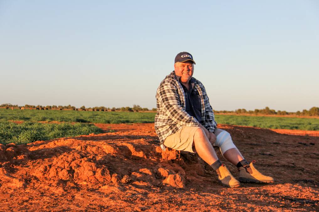 Robert Gracie, Katoota, St George, with weaners on his oats. Pictures: Lucy Kinbacher