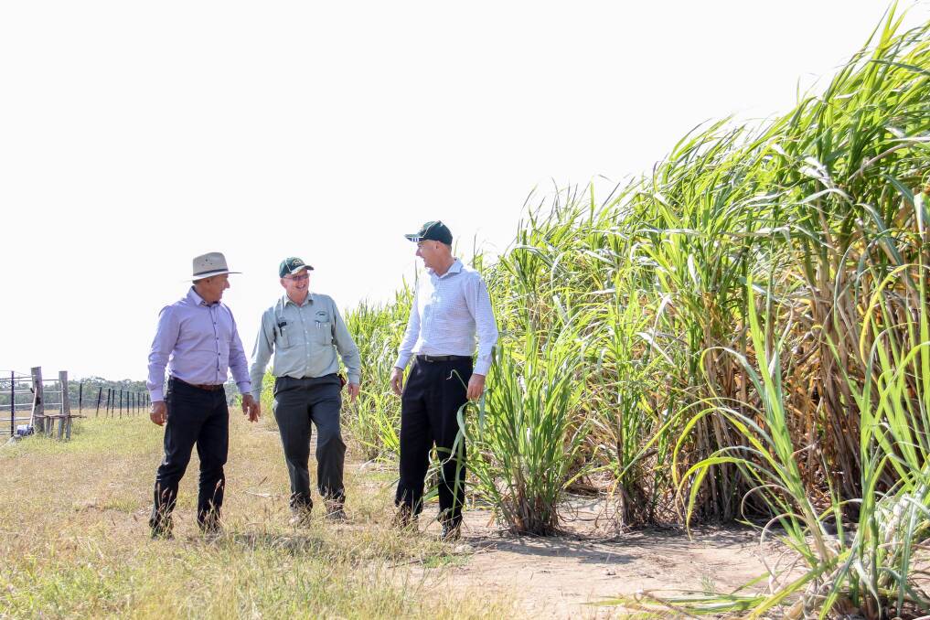 The Isis Central Sugar Mill board members visited the trial plots last week. 