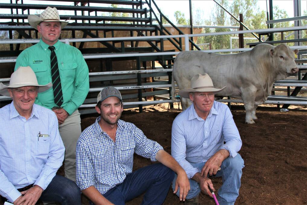 The Sire Shootout reserve champion bull sold for $52,500 with Nutrien's Colby Ede with purchasers Jim Wedge, Ascot Charolais, and Ryan Holzwart, Bauhinia Charolais, vendor Ivan Price. Photo: Sally Gall