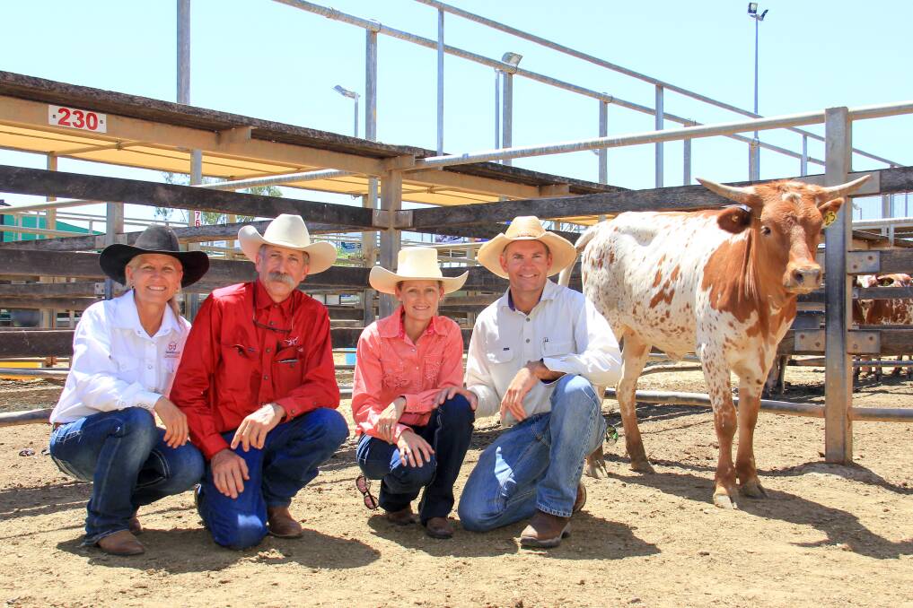 Lynda and Michael Bethel, Horseshoe B Longhorns with buyers Monique and Brendan Schick, Crows Nest and their $8000 purchase, HBL Marianna. 