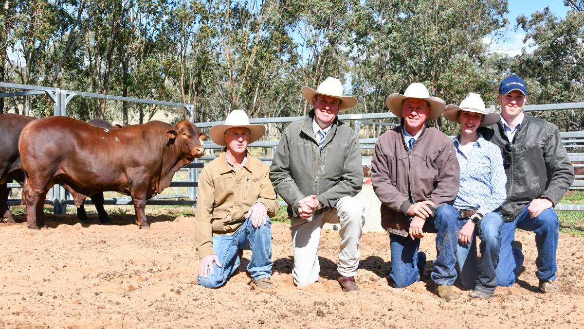 Sire Shootout entrant the $64,000 Watasanta Oh My Goodness with buyer and Hardigreen Park stud manager Col Patterson, auctioneer Paul Dooley and happy vendors Neil, Meg and Jack Watson. Photo: Lucy Kinbacher 