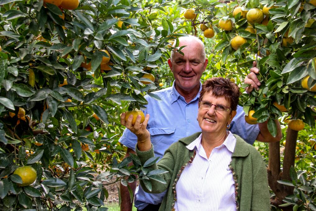 Allen and Susan Jenkin, Ironbark Citrus, Mundubbera, have established Ironbark Lao, a business growing and building citrus farms in Laos. Pictures: Lucy Kinbacher