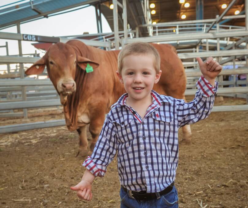 Archie Geddes, Oasis Droughtmasters, Emerald, with the top price bull of the Droughtmaster National Sale, Oasis Dundee. Picture: Kelly Butterworth.