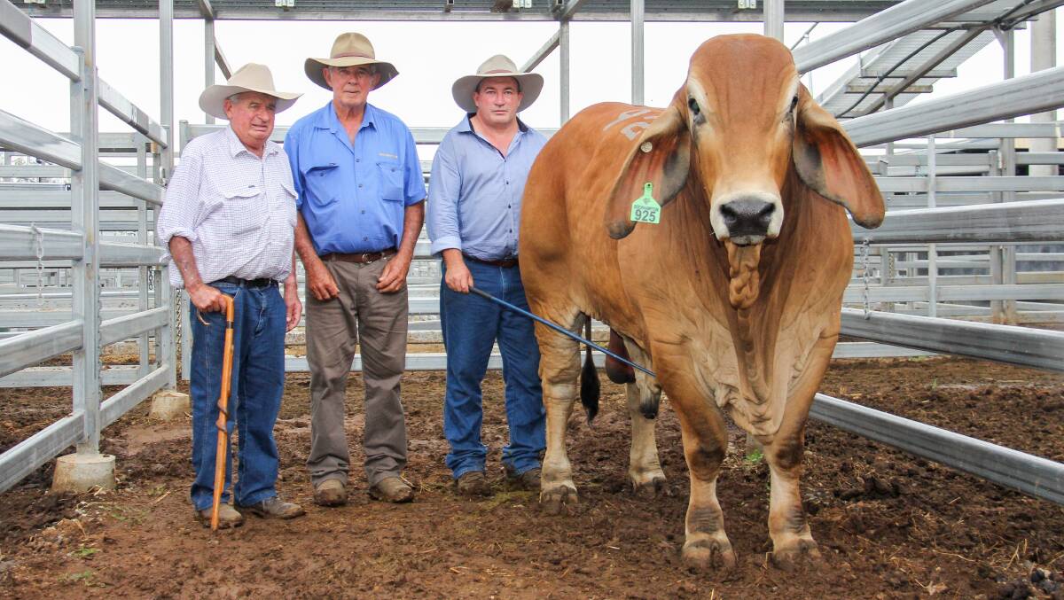 Buyer Michael Fahey, Bizzy Brahmans, Nettle Creek, Copmanhurst, NSW, with vendors Len and Peter Gibbs, Muan Brahmans, Biggenden and equal top price $100,000 red bull, Muan Rafter. 