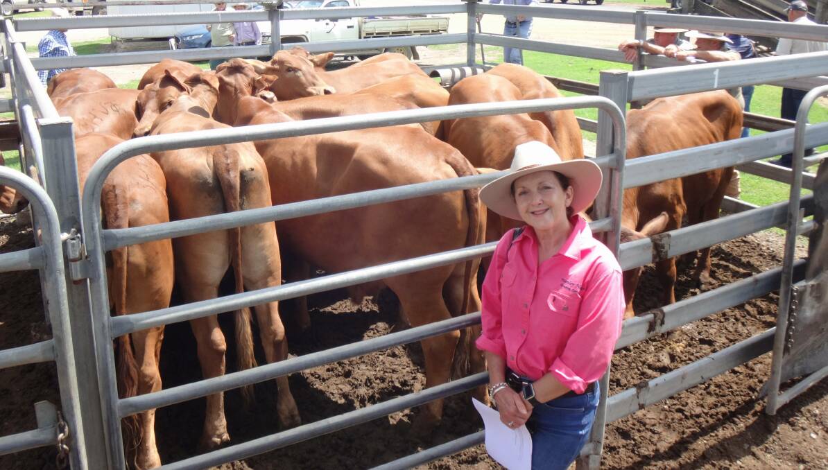 QUALITY CATTLE: Jane Burke, Stanley House, with her Droughtmaster steers that sold for $1430 at Toogoolawah. 