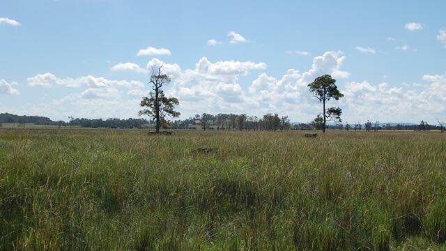 NORTHERN RIVERS: Box Hill, a 185ha property at Corakai sold at auction for $365,000.