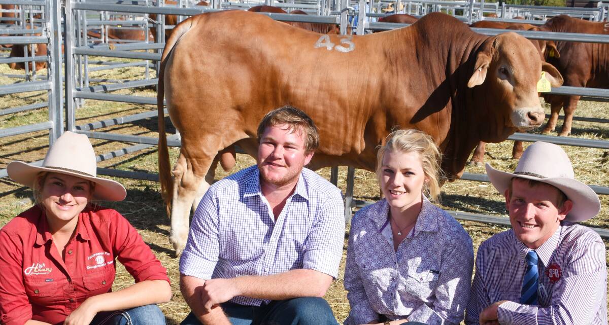 SALE TOPPER: $27,000 High Country First Rate with Steph Laycock, High Country Droughtmasters, Eskdale, buyers Ben Wright and Olivia Dewar, Munda Reds, Gingin, WA, and auctioneer Jack Fogg, Shepherdson and Boyd.