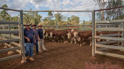 Greg, John and Mark Poulson with some of the Poll Hereford breeders.