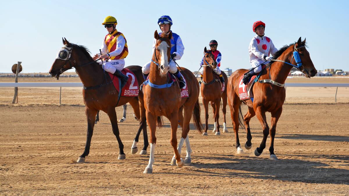 Last year Perth-based jockey Kayla Cross rode to victory on the Heather Lehmann-trained Moore Alpha – the first time an all-female jockey-trainer duo had taken out the Birdsville Cup in 134 years.