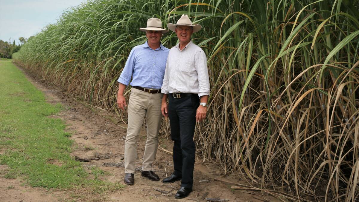 LNP agriculture spokesman Tony Perrett and natural resources spokesman Dale Last in the Burdekin.