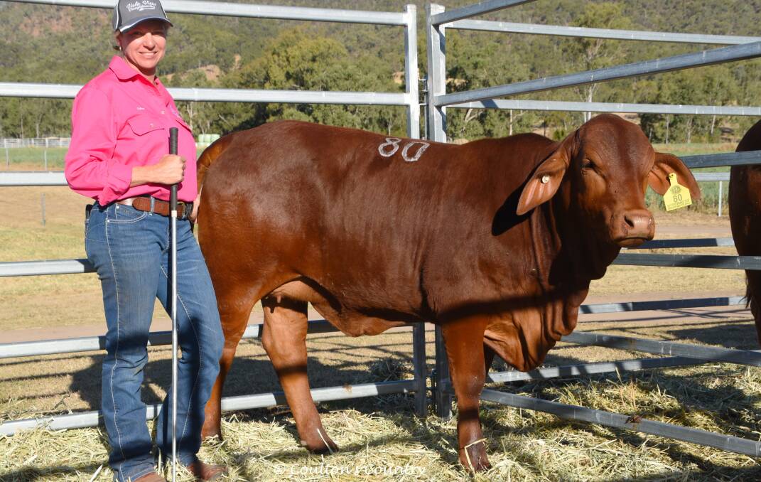 Colleen Smith, Vale View Droughtmasters, Manumbar, with the $5250 top priced heifer bought by Kel-Lee A and Baron Valley Studs, Malanda.