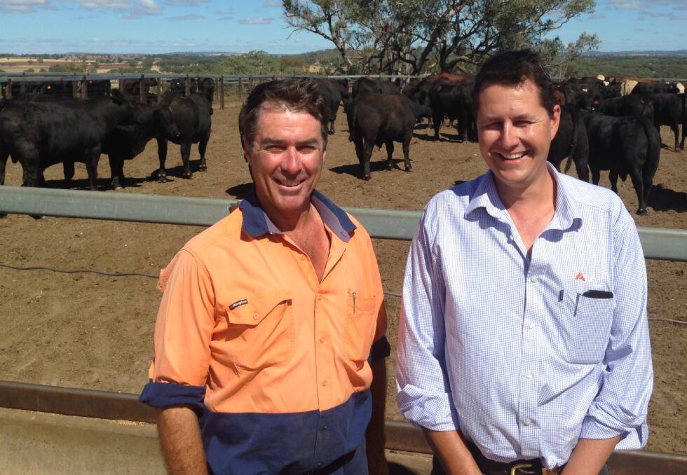 NEW ROLE: Toowoomba-based James Sage (right) has joined animal health and nutrition company Alltech as a beef specialist. He is pictured with Mark Lane at Nullamanna Feedlot, Inverell.