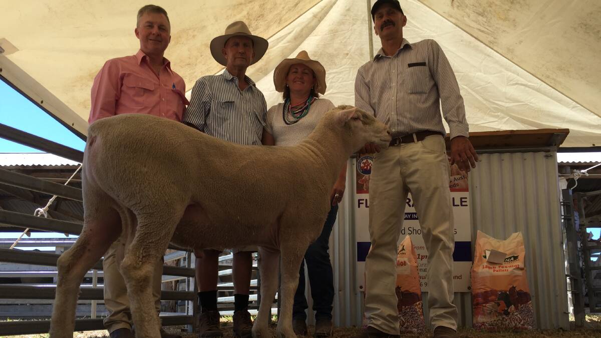 SALE TOPPER: Auctioneer Andrew Meara, Elders, Russell Neal and his daughter Carissa Hallinan, Caerleon, Tara, and vendor Chris Rubie, Sovereign Poll Dorsets, Warwick.