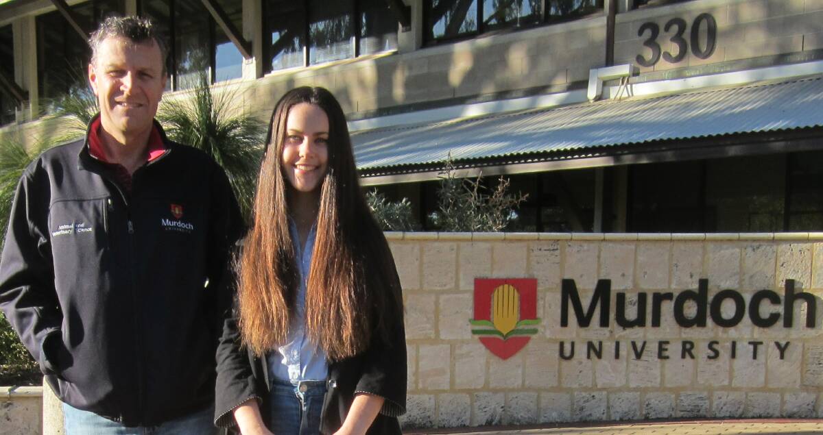HIGH ACHIEVER: Pork CRC supported Animal Science Honours student, Danica Evans (pictured with her supervisor Professor John Pluske) received First Class Honours and topped her year at Murdoch University.