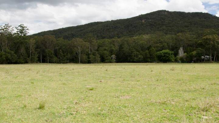 UNDER THE HAMMER: A King Creek Road property at Eerwah Vales sold for $515,000 at a Ray White Rural auction in Brisbane. 