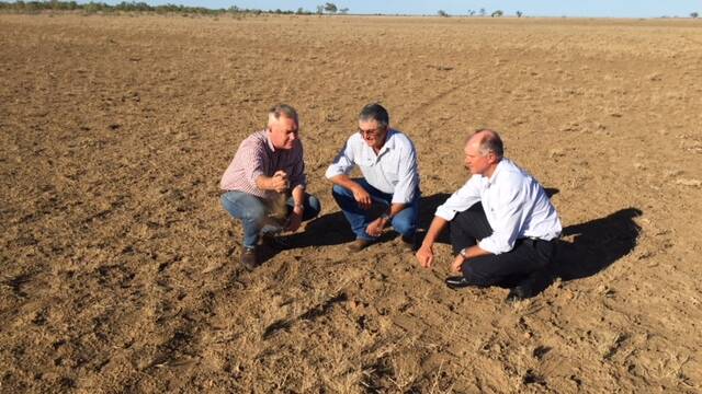 TOUGH TIMES: Lachlan Millar, left with Winton cattle producers John Paine (centre) with Member for Gregory, Lachlan Millar, and opposition agriculture spokesman Tony Perrett looking at droughted Mitchell grass downs country north east of Winton.