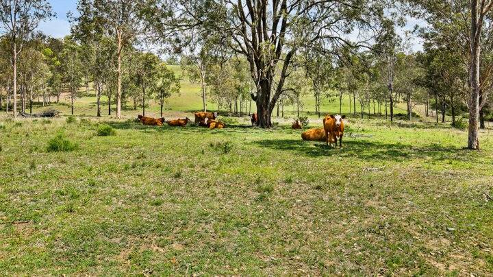 The Murphy's Creek property covers 41 hectares.