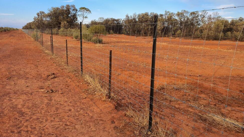 Nimboy is fenced into 12 major paddocks and six holding paddocks, with about 30km of exclusion fencing. 
