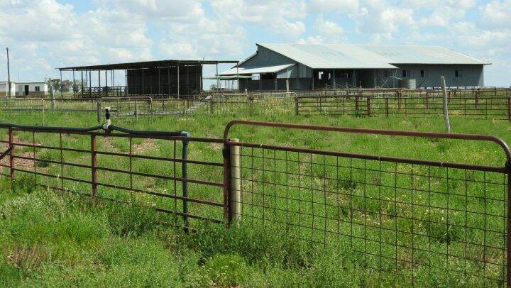 UNDER THE HAMMER: The Queensland government has sold the Longreach property Manningham at auction for $2.4 million.