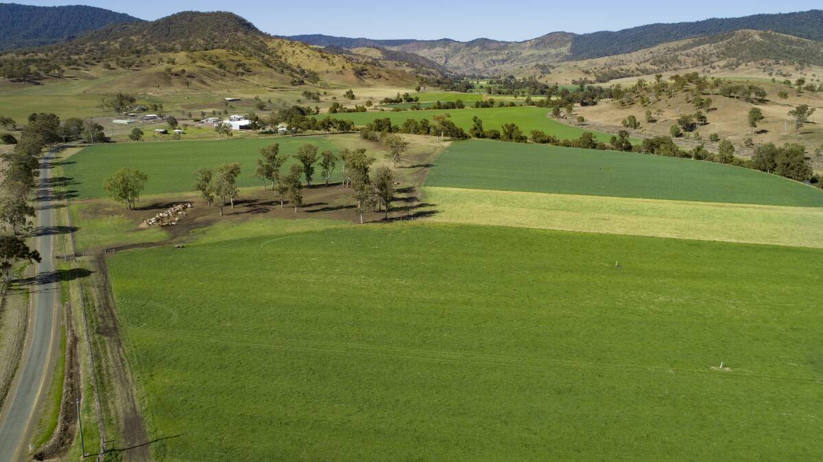 UNDER THE HAMMER: Highly productive Running Creek property Glenapp has sold at auction for $17 million.. 