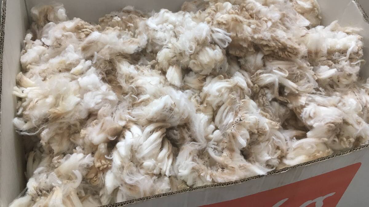 IN DEMAND: Superfine and fine Merino fleece with good specifications continued to be highly sought after. 