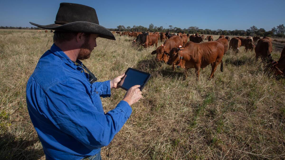 A digital fencing platform is being trialed to enhance grazing management while better protecting the Great Barrier Reef.