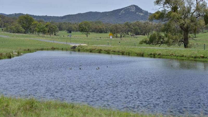 Sunnyridge is well watered by dams, spring fed waterways and two permanent creeks.