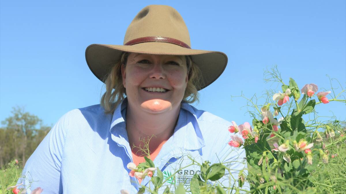 GRDC Grower Services manager north Sharon O’Keeffe believes digital networks can bring the advice of peers and the expertise of researchers to growers in the paddock.