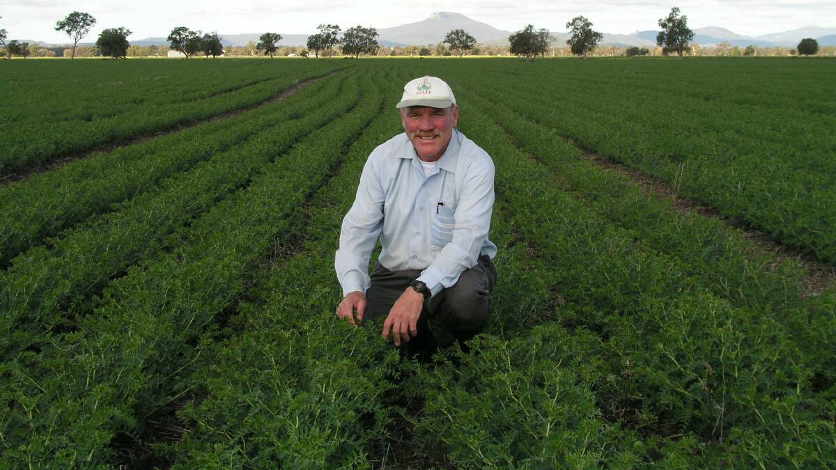 BRING ON THE HEAT: NSW senior plant pathologist Kevin Moore said generally, the wetter, cooler conditions during the growing season mean chickpea crops are now three to six weeks behind where they should be in terms of pod set and harvest.