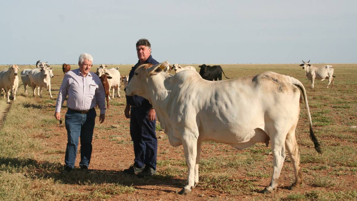 Bruce Smith from Ray White Rural and Philip Prince the vendor for Westward Ho at Boulia.