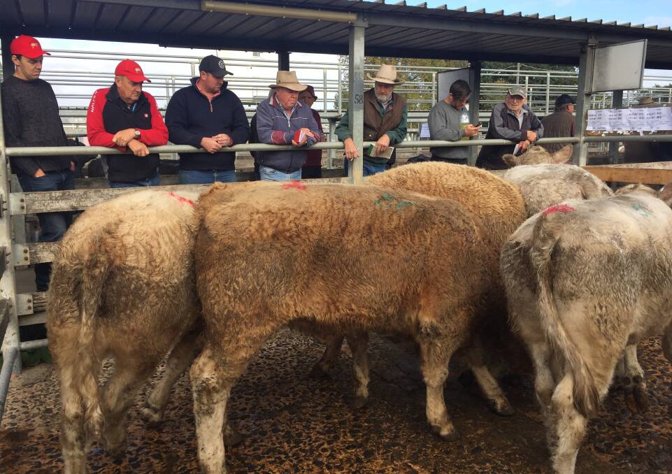 Misguided: A problem with price reporting agents and producers are still beholden to saleyards as the ultimate price setting mechanism.