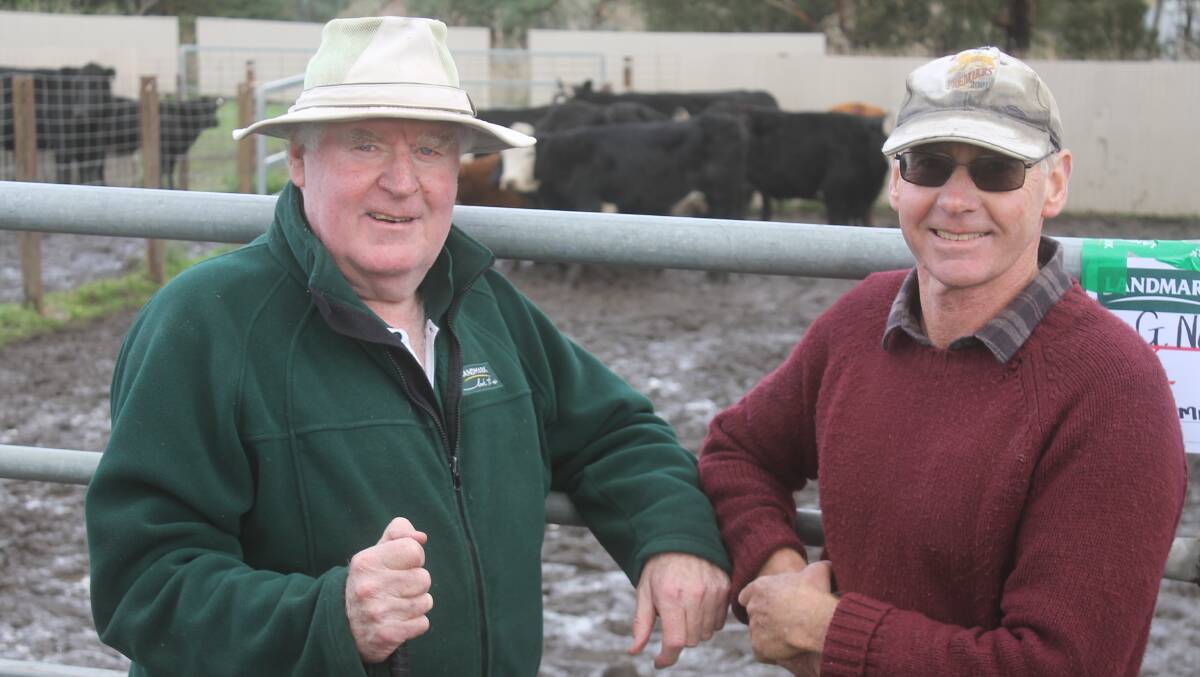 Greg Dwyer, Landmark-Dwyer client Gerard Noonan, Malmsbery who sold Angus-Hereford heifers, with calves at foot for $1360 at Kyneton saleyards