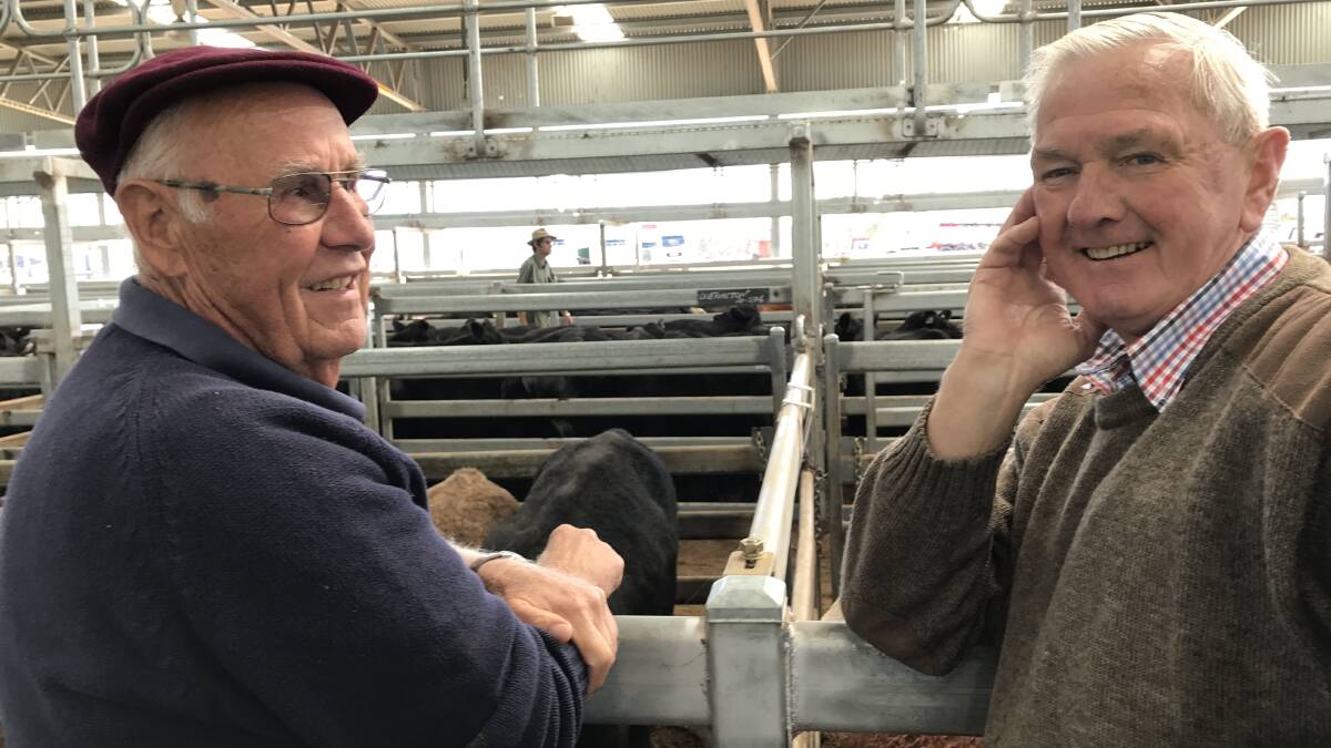 Two livestock veterans of the Tasmanian livestock scene, Geoff Giblin and Chris Schofield discuss prices at the Powranna sale: Photo Richard Bailey