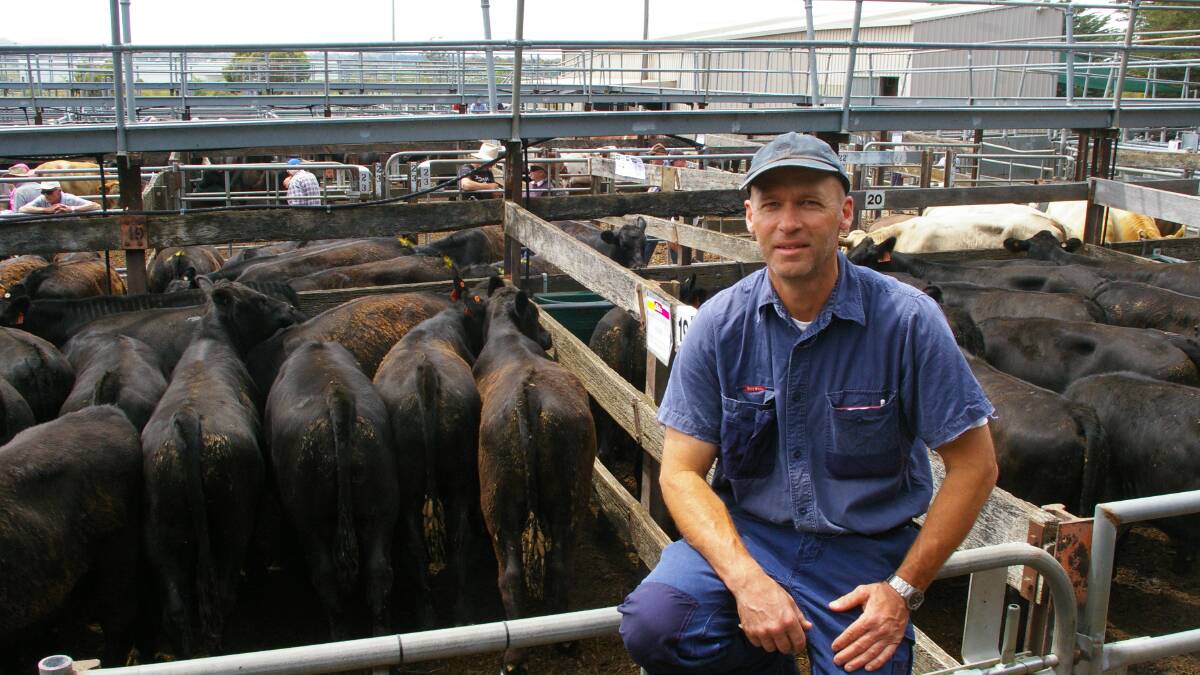 Dave Bassett, Glenhope with his $1480 a head Angus weaners sold at Kyneton