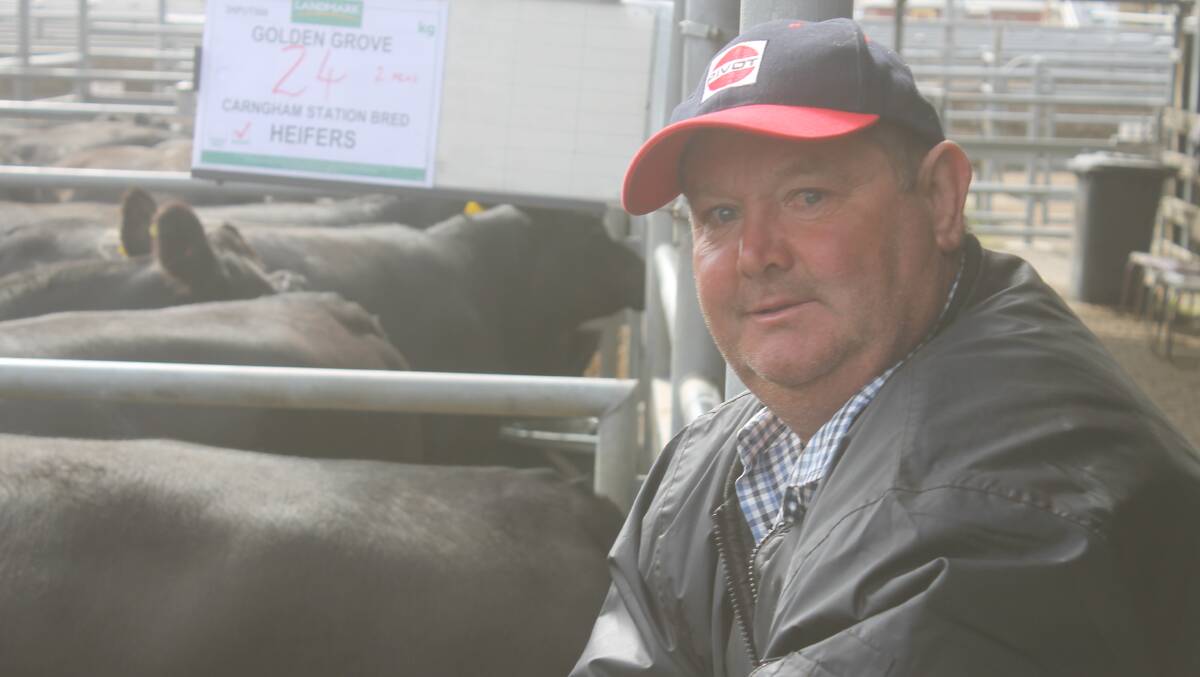 Receiving prices to $2450 a head for PTIC Angus heifers, Sid Maher, Newlyn, said although the money was down $600 on last year it was still better than fattening steers.