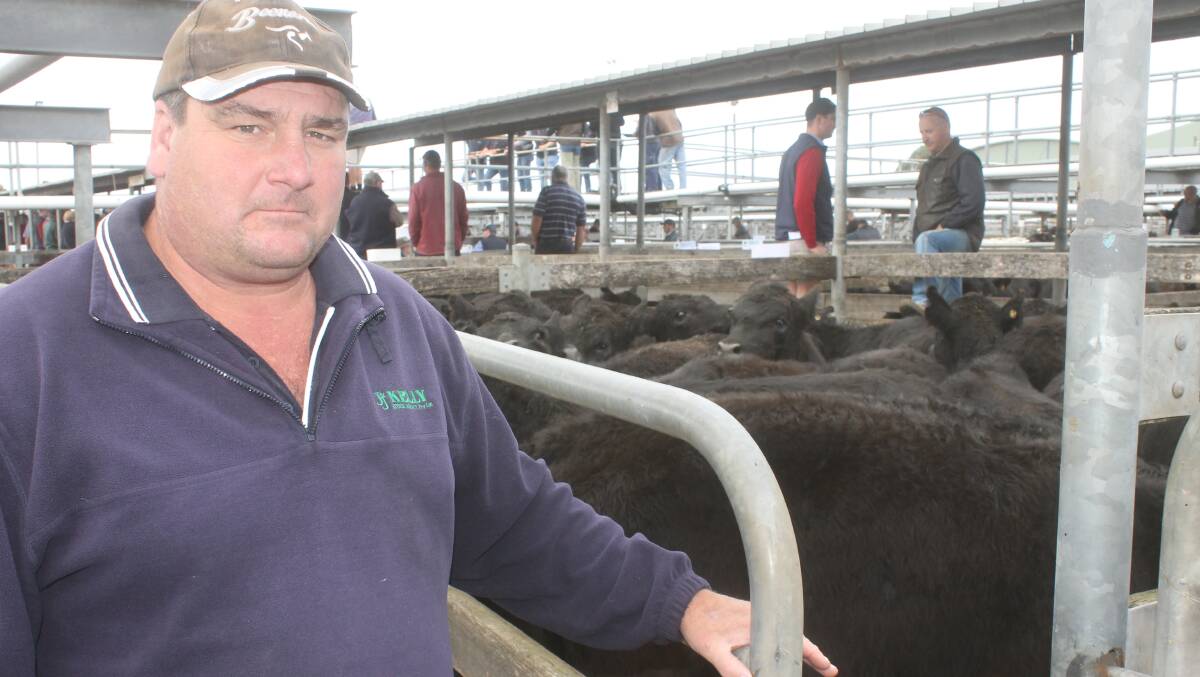 Heywood agent, Simon Hutchinson, J&J Kelly, sold Angus grown heifers for a Codrington client that had been intended for future breeding.