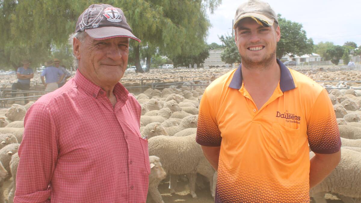 Don and Hayden White, Tandarra, north of Bendigo, unloaded Merino wethers at Wycheproof Friday, they bought off-shears as lambs.