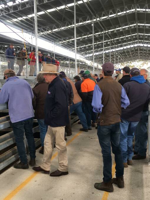 Misguided: A problem with the industry agents and producers are still beholden to saleyards as the ultimate price setting mechanism.