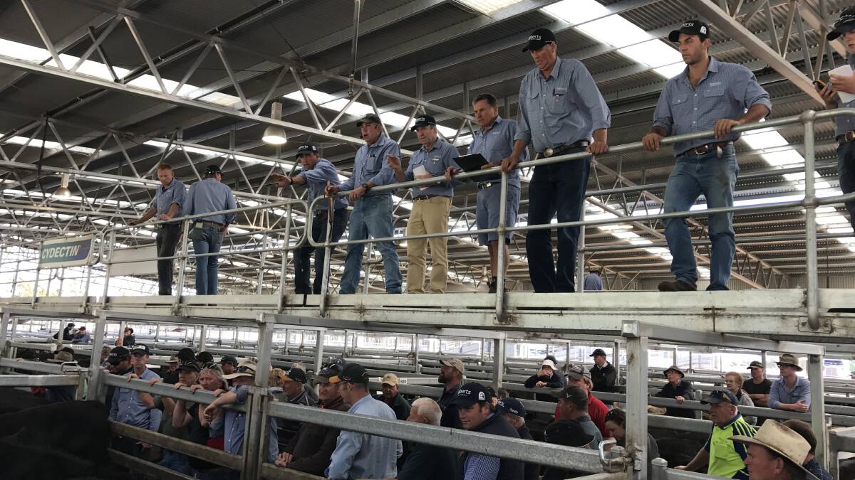 The Roberts team is action at its Powranna Market Complex on Thursday