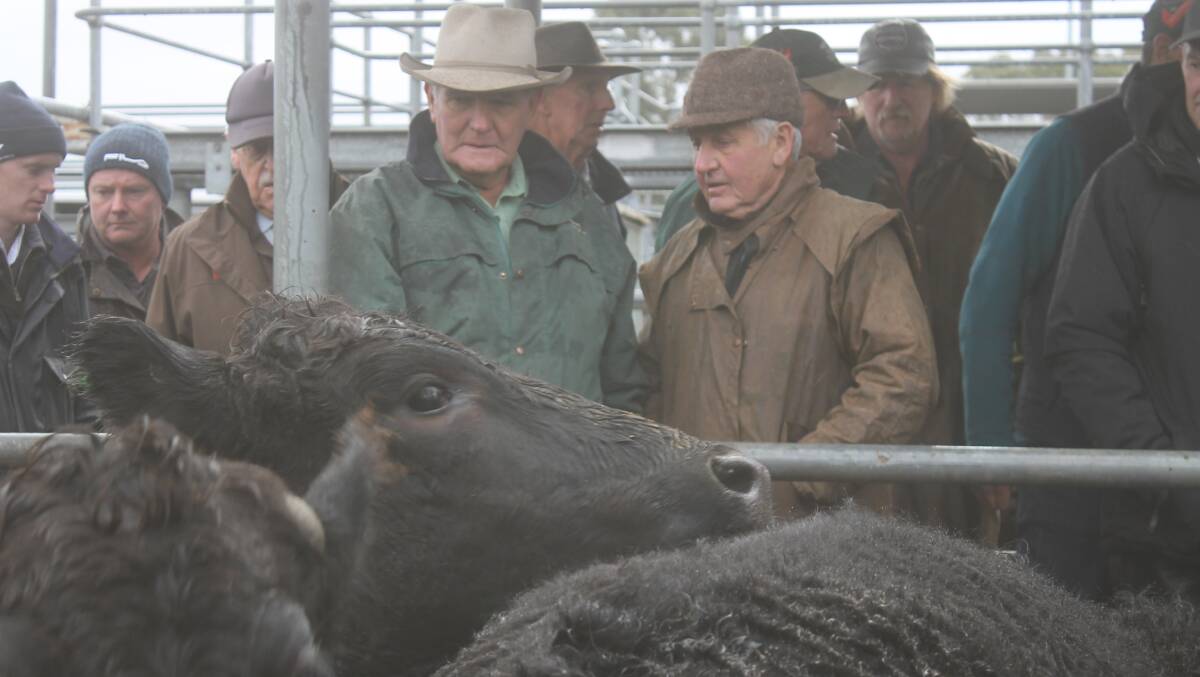 South Gippsland buyers, Eddie Hams, Landmark and John Mitchell purchased cattle in a dearer market.