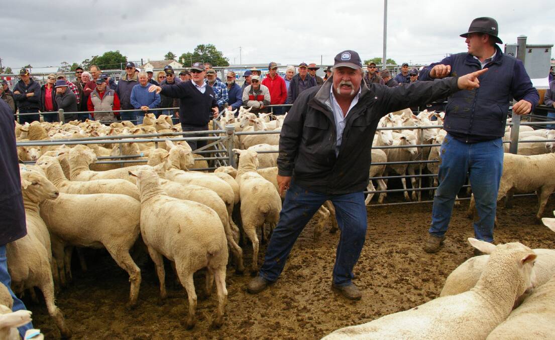 The former Crawford Dowling staff, now merged with Landmark, saw young ewes 12 months ago sell to a top of $272 a head in Ballarat's December ewe sale .   