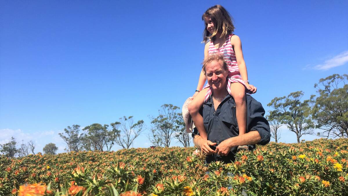 Fourth-generation cotton grower Jon Elder and his daughter Noa in their crop of super high oleic safflower.
