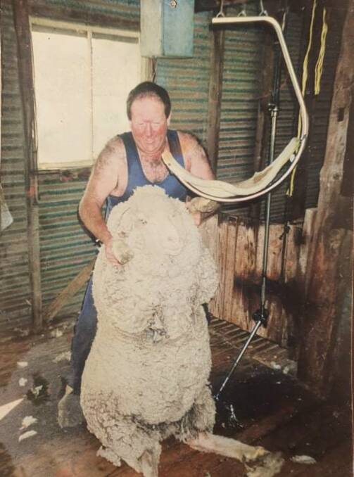 The late Artie Ryan, who is shearing a big 'pine wether', has been honoured with a memorial event that will be held during the Oberon Quickshear.