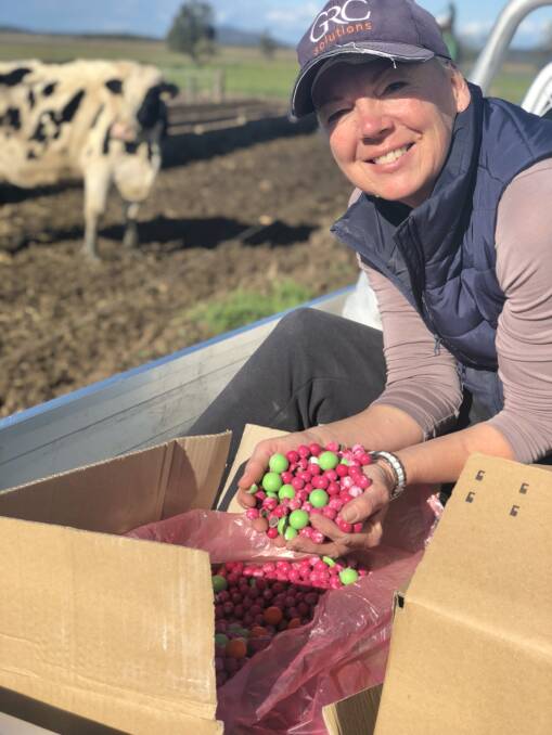 Belmore River dairy farmer Sue McGinn is using confectionary in her herd's ration mix to help boost milk production. Photo: Samantha Townsend 